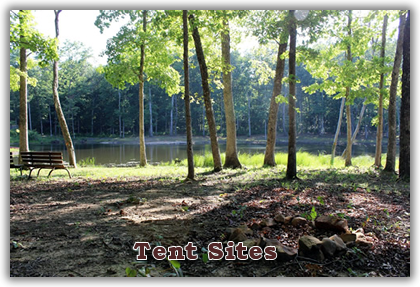 Davy Crockett Campground Tent sites, both primitive sites and some with water and electricity